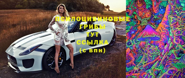 трава Верхний Тагил
