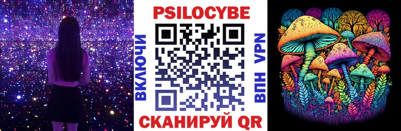 Псилоцибиновые грибы мицелий Северобайкальск